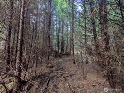 999 Green Road , Forks, WA 98331 - Photo 30