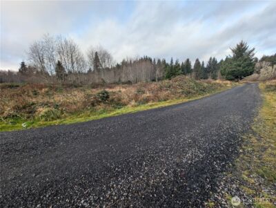 999 Green Road , Forks, WA 98331 - Photo 3