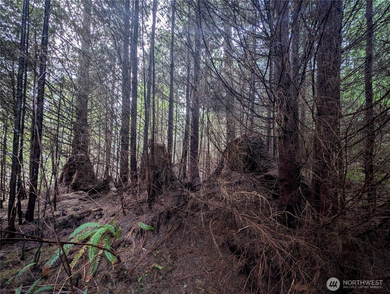 999 Green Road , Forks, WA 98331