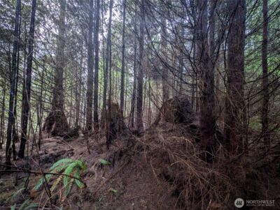 999 Green Road , Forks, WA 98331 - Photo 31