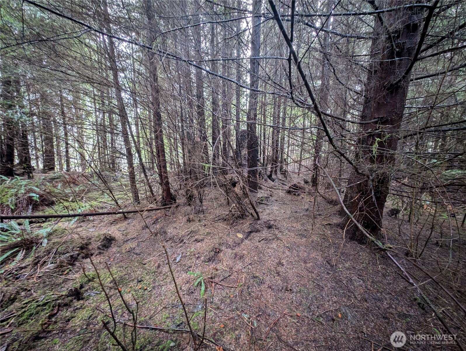 999 Green Road , Forks, WA 98331