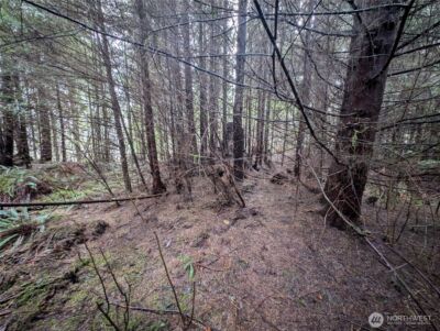 999 Green Road , Forks, WA 98331 - Photo 32