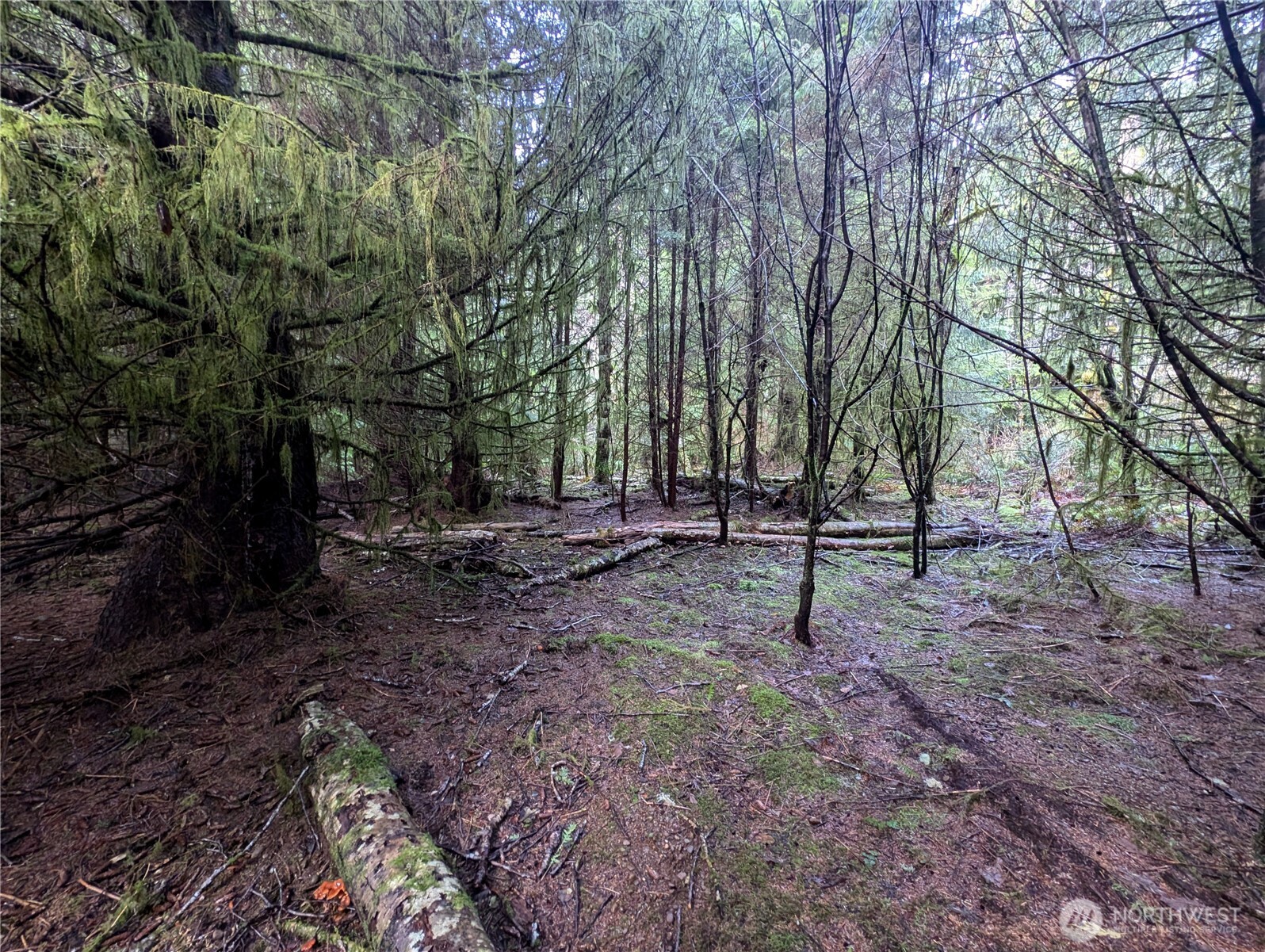 999 Green Road , Forks, WA 98331