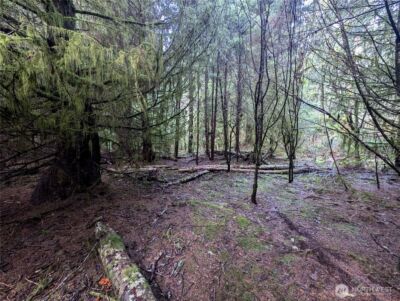 999 Green Road , Forks, WA 98331 - Photo 33