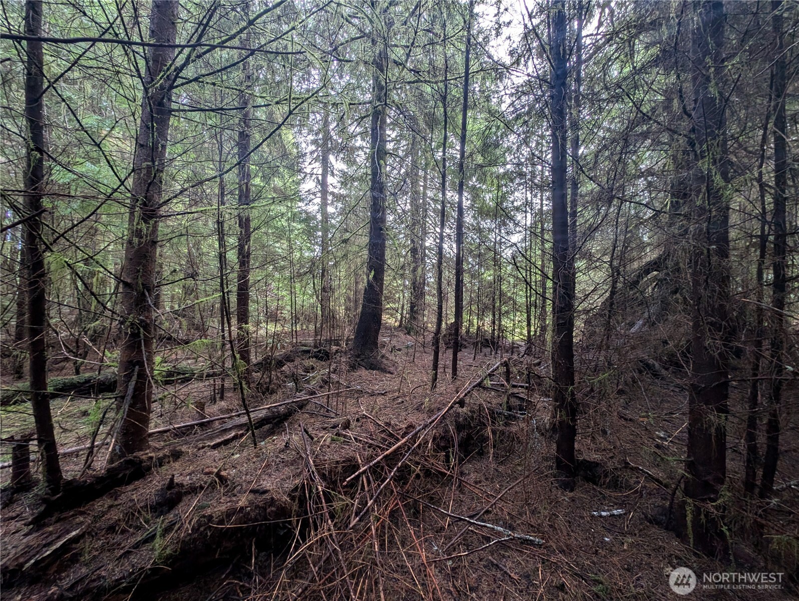 999 Green Road , Forks, WA 98331