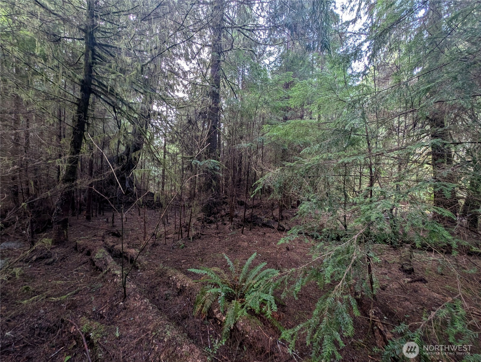 999 Green Road , Forks, WA 98331