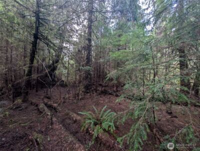 999 Green Road , Forks, WA 98331 - Photo 35