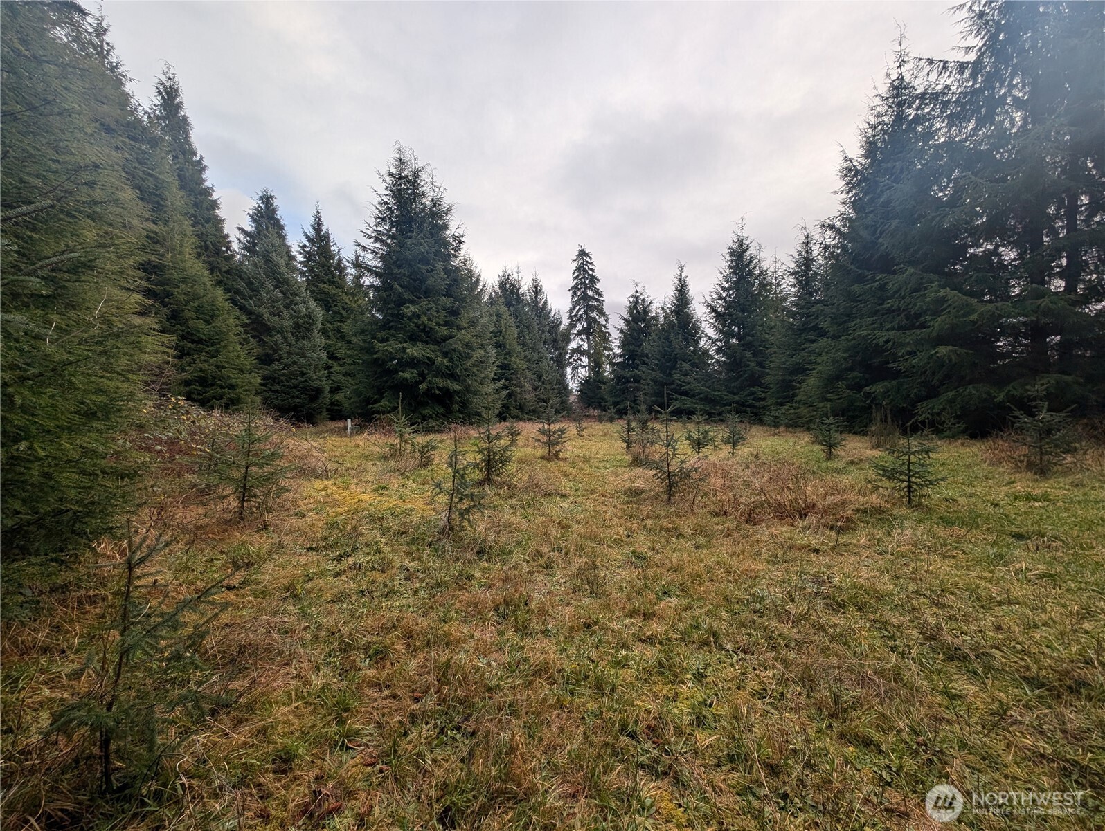 999 Green Road , Forks, WA 98331