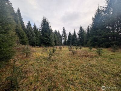 999 Green Road , Forks, WA 98331 - Photo 36