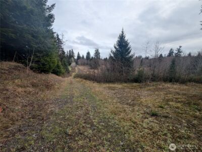 999 Green Road , Forks, WA 98331 - Photo 37