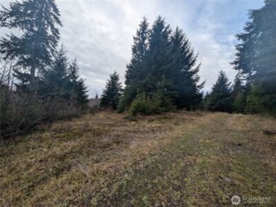 999 Green Road , Forks, WA 98331 - Photo 38