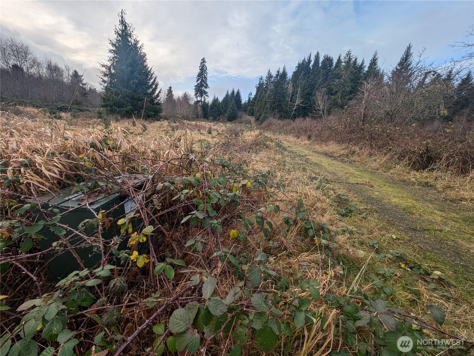 999 Green Road , Forks, WA 98331