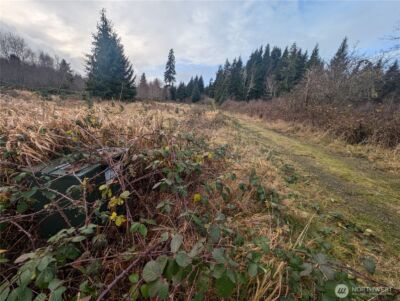 999 Green Road , Forks, WA 98331 - Photo 39