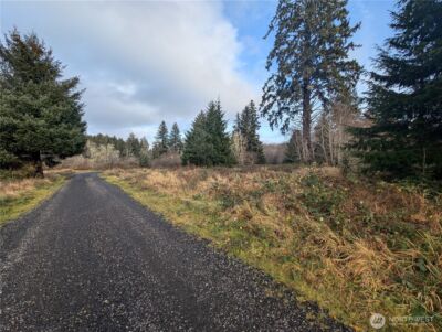 999 Green Road , Forks, WA 98331 - Photo 4