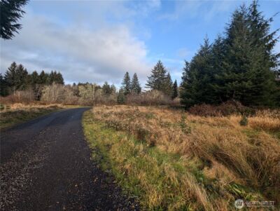 999 Green Road , Forks, WA 98331 - Photo 5