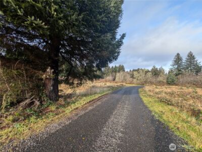 999 Green Road , Forks, WA 98331 - Photo 6