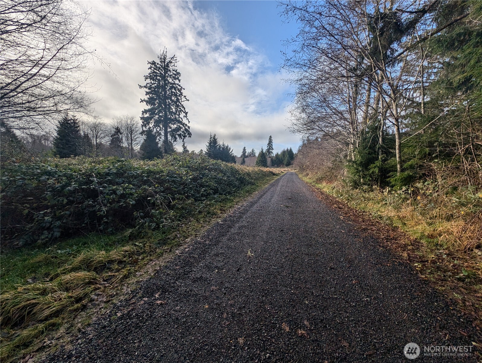 999 Green Road , Forks, WA 98331