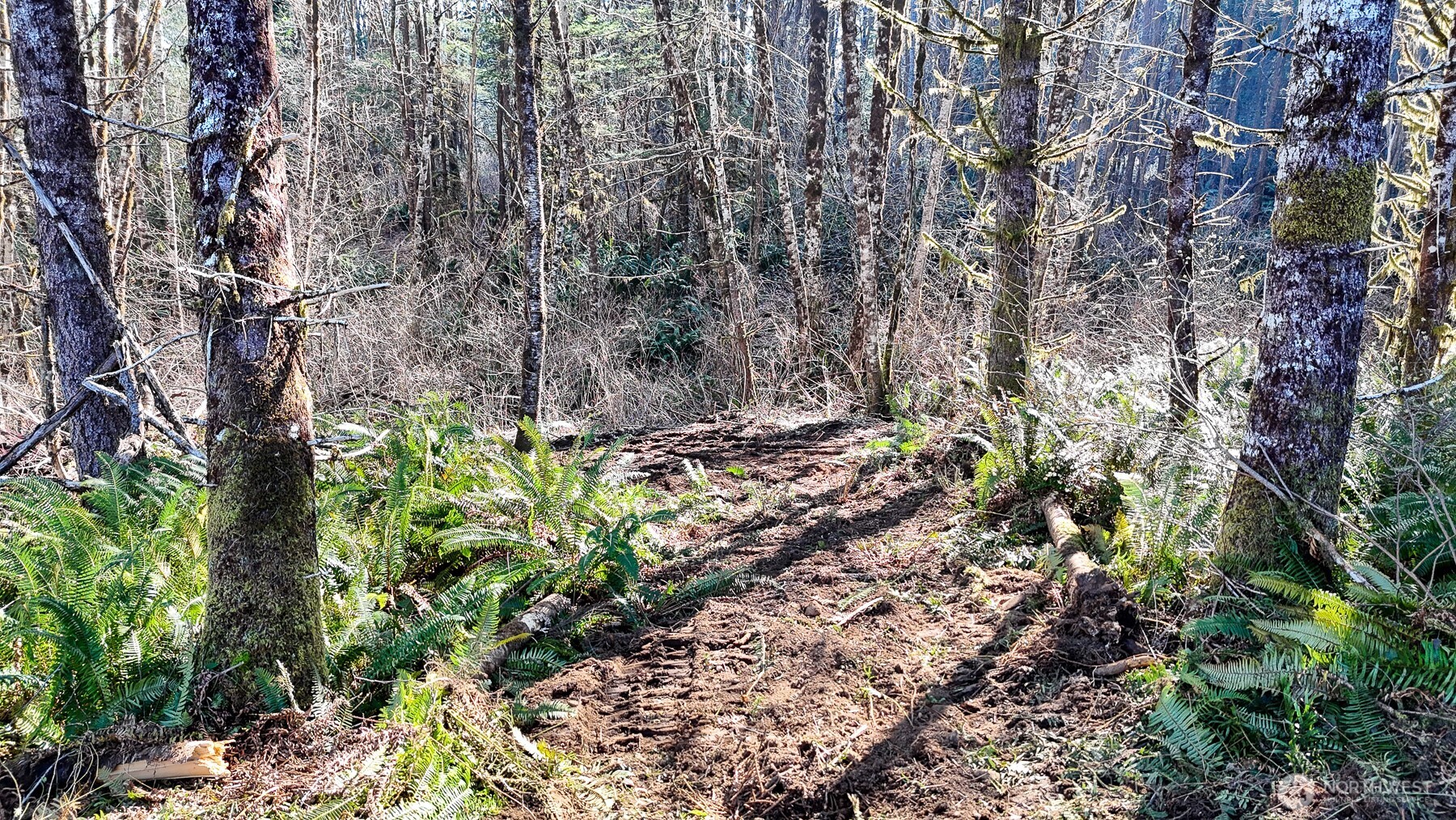 11 W Highland Y Road , Shelton, WA 98584