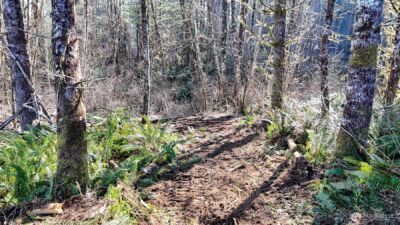 11 W Highland Y Road , Shelton, WA 98584 - Photo 31