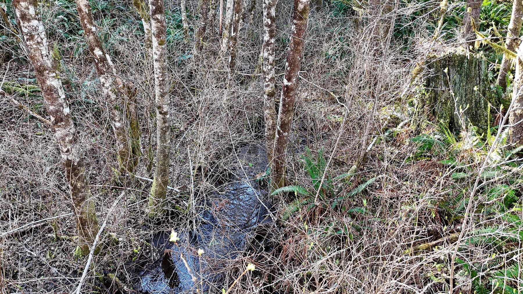 11 W Highland Y Road , Shelton, WA 98584