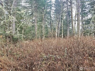 4 NKA W Go Onna Drive , Quilcene, WA 98376