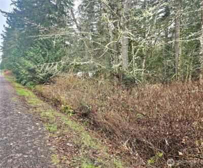 4 NKA W Go Onna Drive , Quilcene, WA 98376 - Photo 3