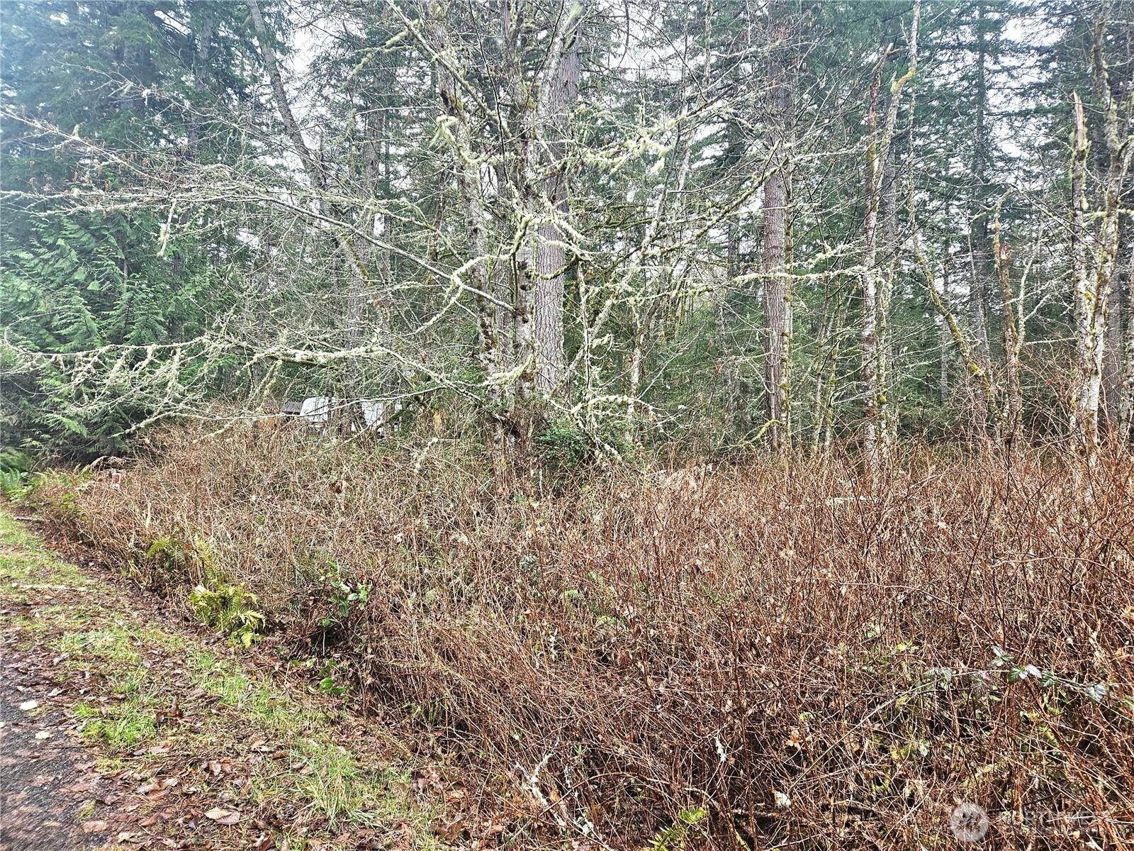 4 NKA W Go Onna Drive , Quilcene, WA 98376