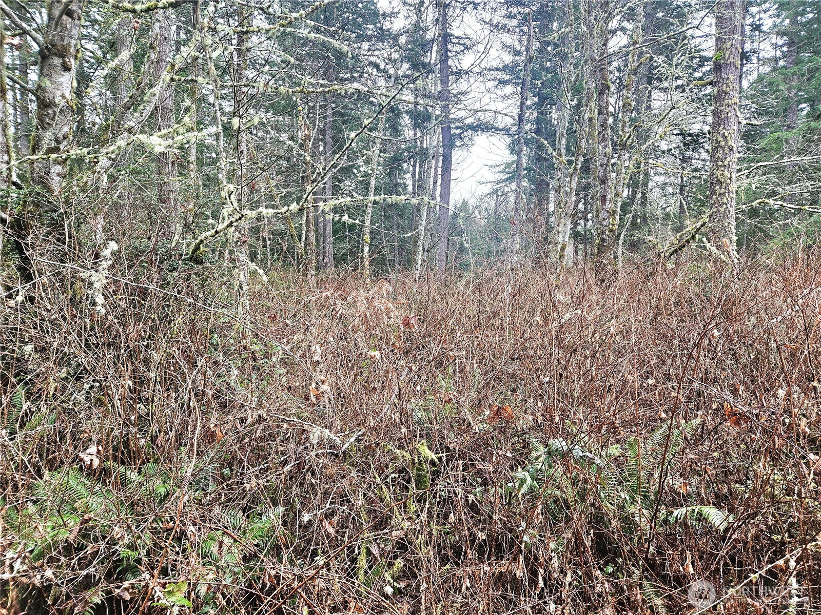 4 NKA W Go Onna Drive , Quilcene, WA 98376