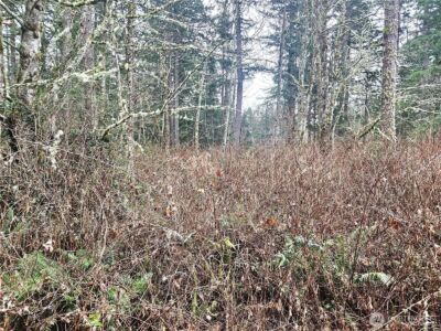 4 NKA W Go Onna Drive , Quilcene, WA 98376 - Photo 5