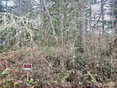 4 NKA W Go Onna Drive , Quilcene, WA 98376 - Photo 6