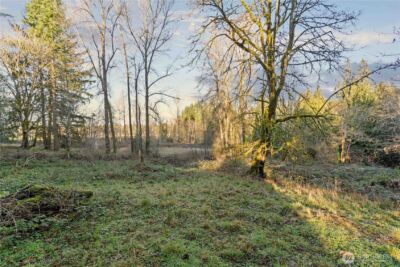 13311 SE 290th Street , Auburn, WA 98092 - Photo 37