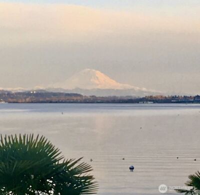 14026 Riviera Place NE, Seattle, WA 98125 - Photo 40