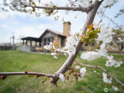 5814 Colockum Road , Malaga, WA 98828 - Photo 27