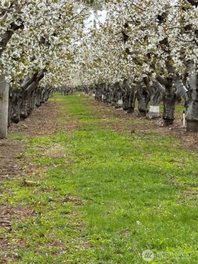 5814 Colockum Road , Malaga, WA 98828 - Photo 38