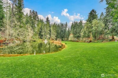 11807 Dogwood Place , Anderson Island, WA 98303 - Photo 29