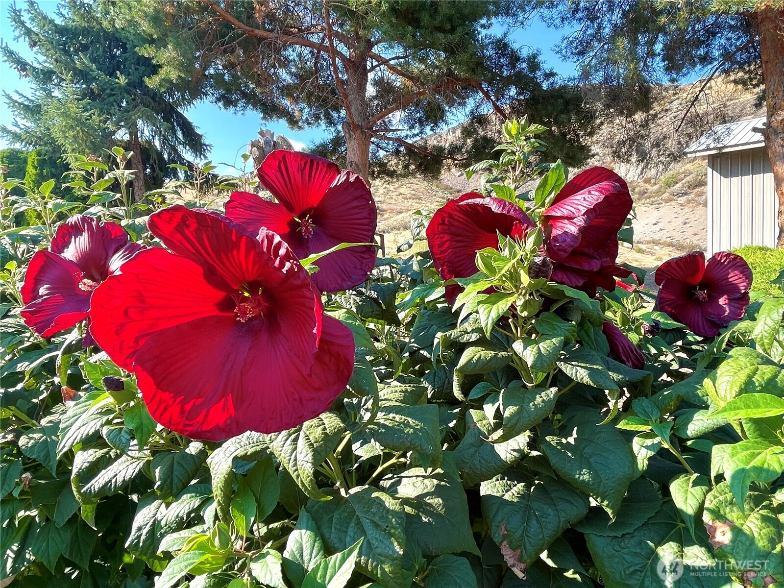 59 G Copple Road , Omak, WA 98841