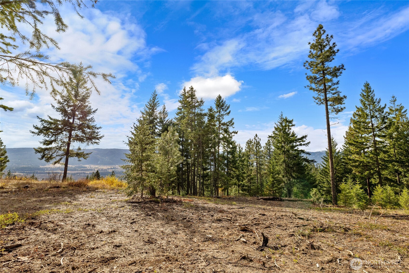 39 Forest Ridge Drive , Cle Elum, WA 98922