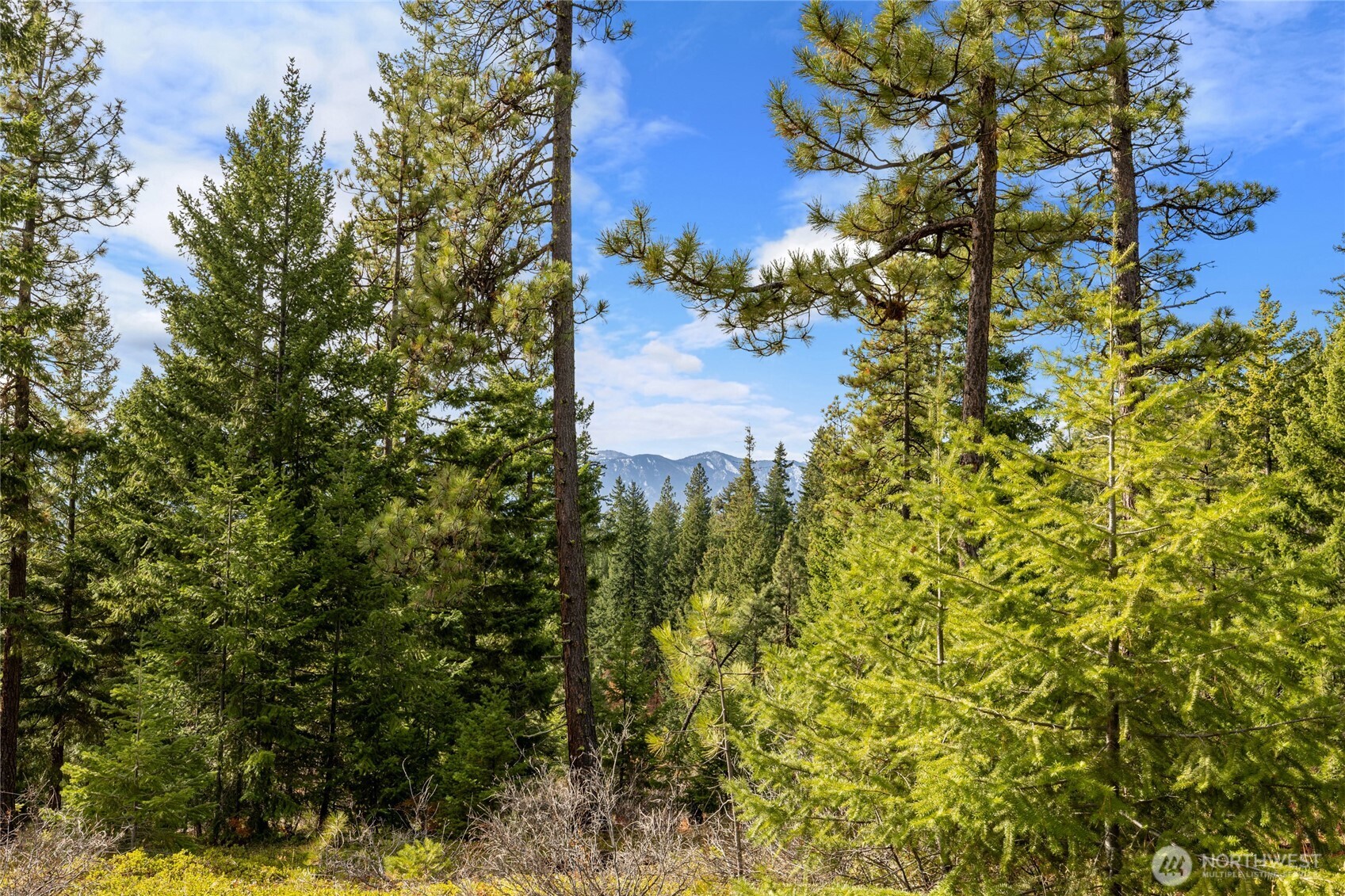 39 Forest Ridge Drive , Cle Elum, WA 98922