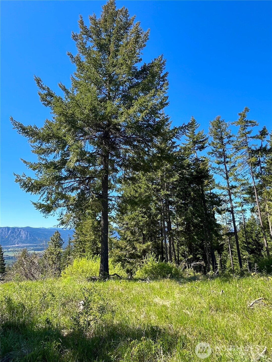 39 Forest Ridge Drive , Cle Elum, WA 98922