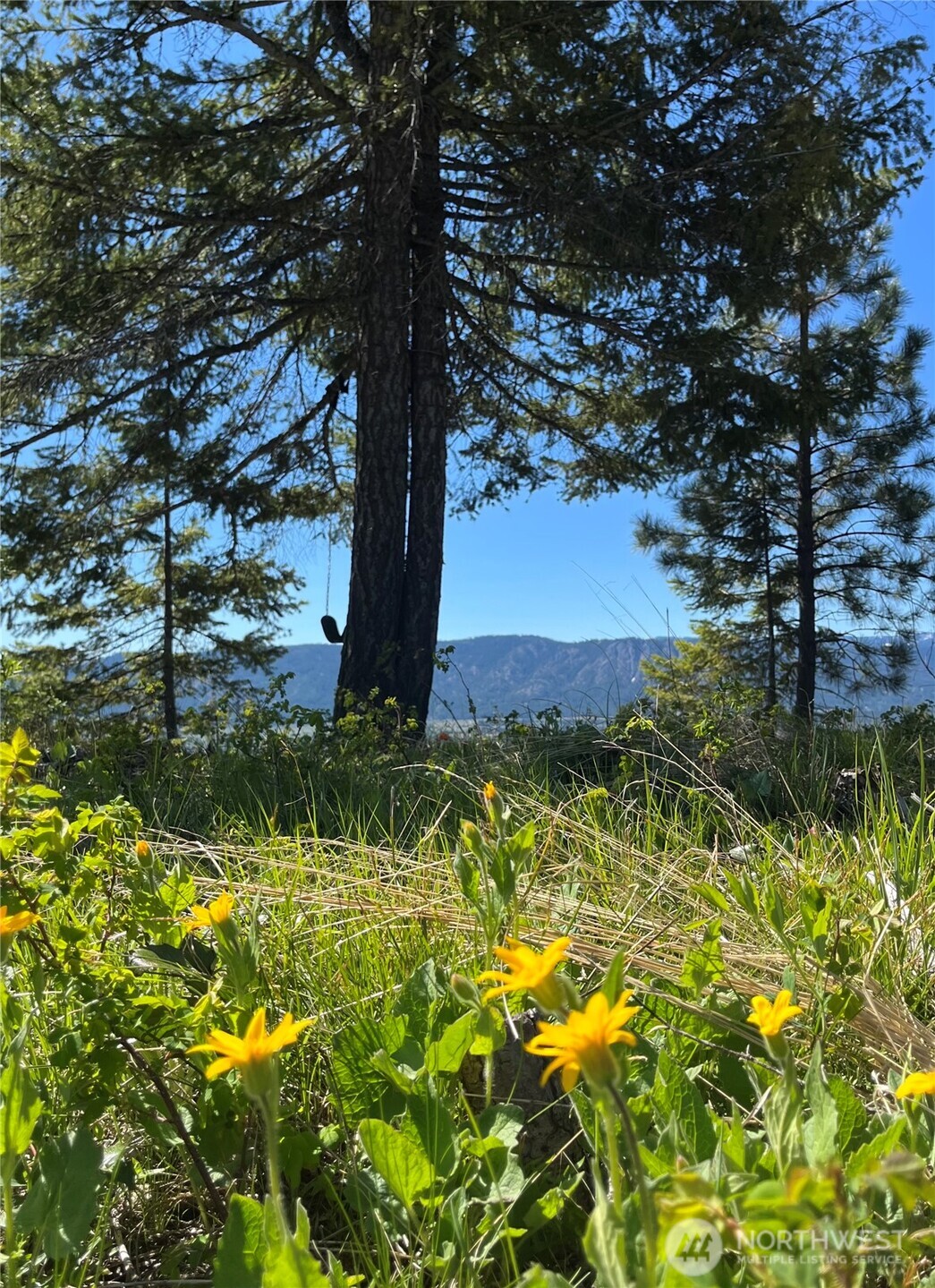 39 Forest Ridge Drive , Cle Elum, WA 98922