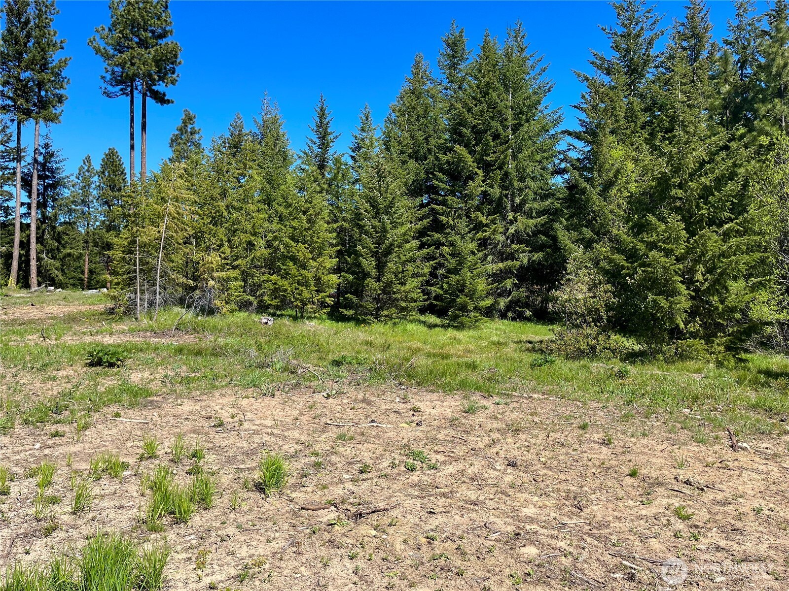 39 Forest Ridge Drive , Cle Elum, WA 98922