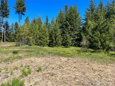 39 Forest Ridge Drive , Cle Elum, WA 98922 - Photo 20