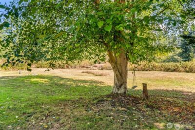 615 SW Camano Drive , Camano Island, WA 98282 - Photo 33