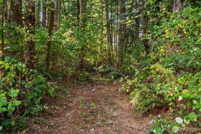 14728 58th Avenue NW, Stanwood, WA 98292 - Photo 23