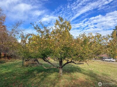1525 Grant , Port Townsend, WA 98368 - Photo 5