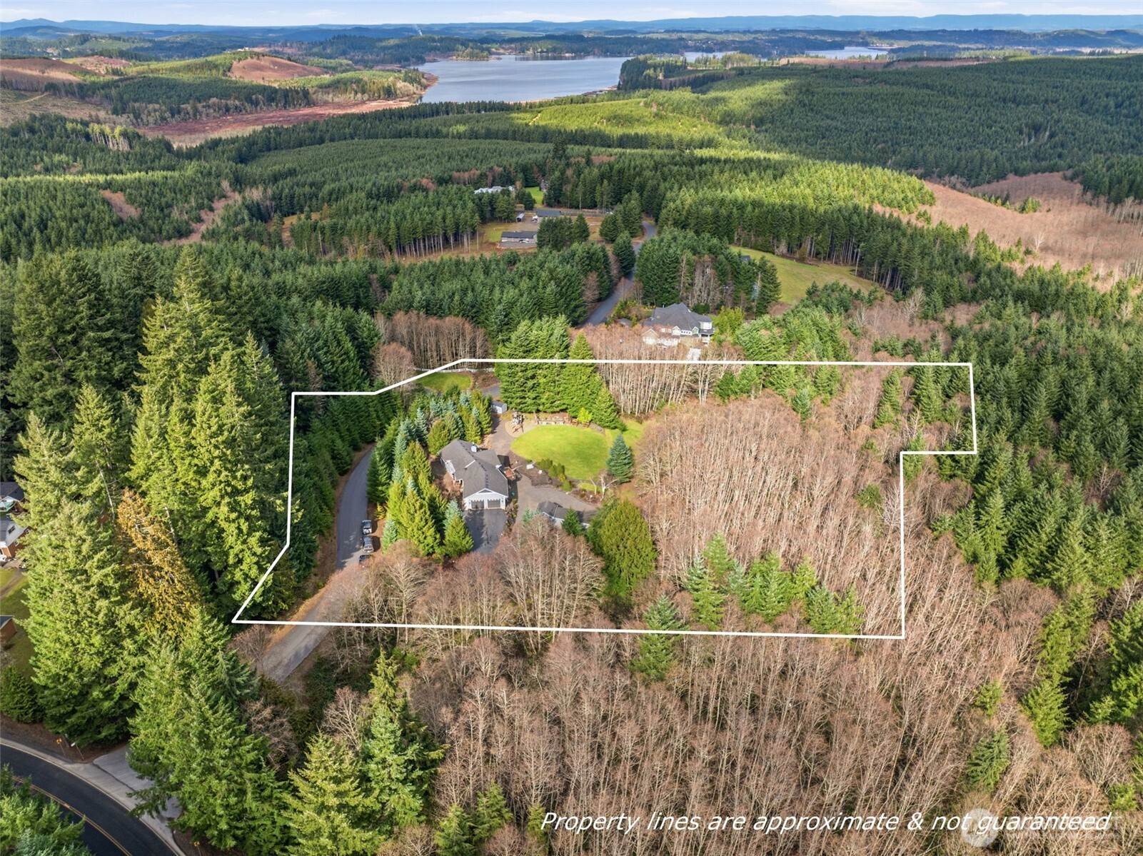 72 Blue Mountain Rd , Castle Rock, WA 98611