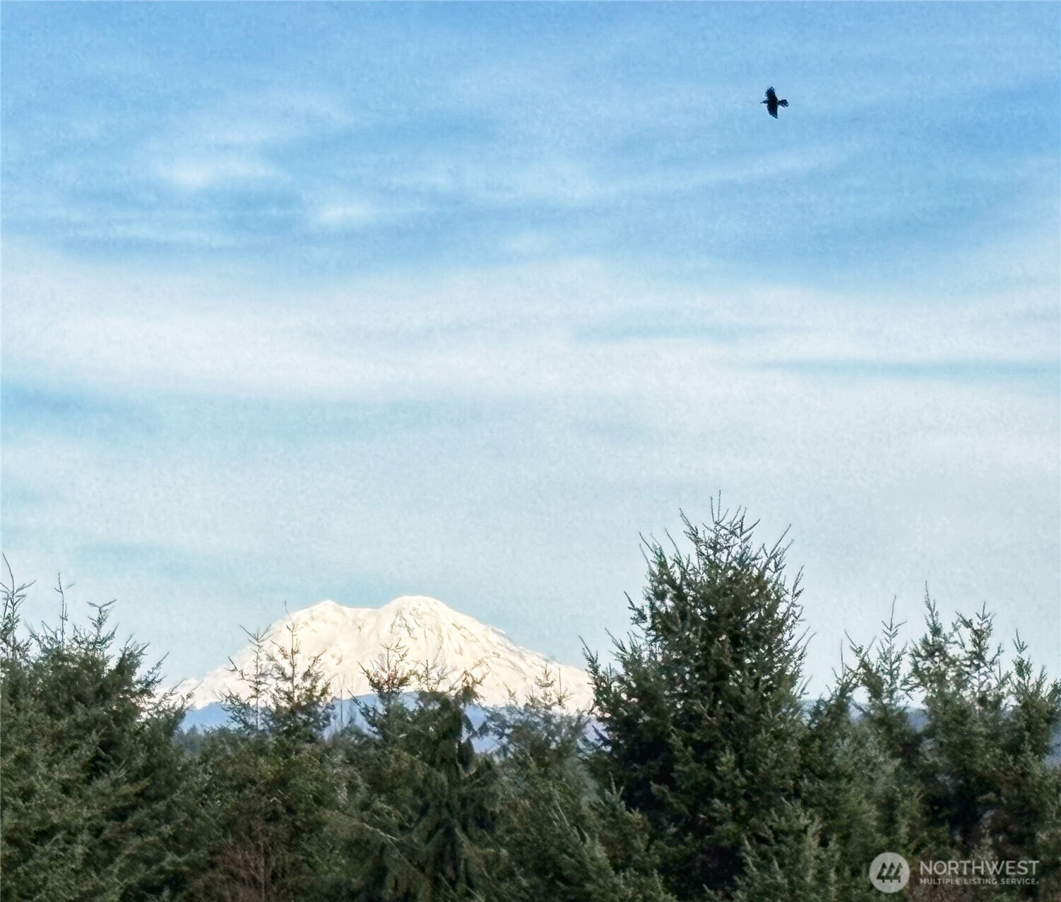 72 Blue Mountain Rd , Castle Rock, WA 98611