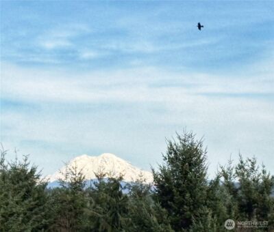 72 Blue Mountain Rd , Castle Rock, WA 98611 - Photo 38