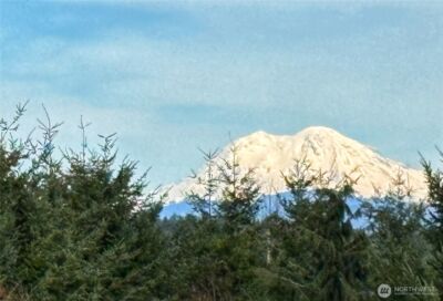 72 Blue Mountain Rd , Castle Rock, WA 98611 - Photo 39