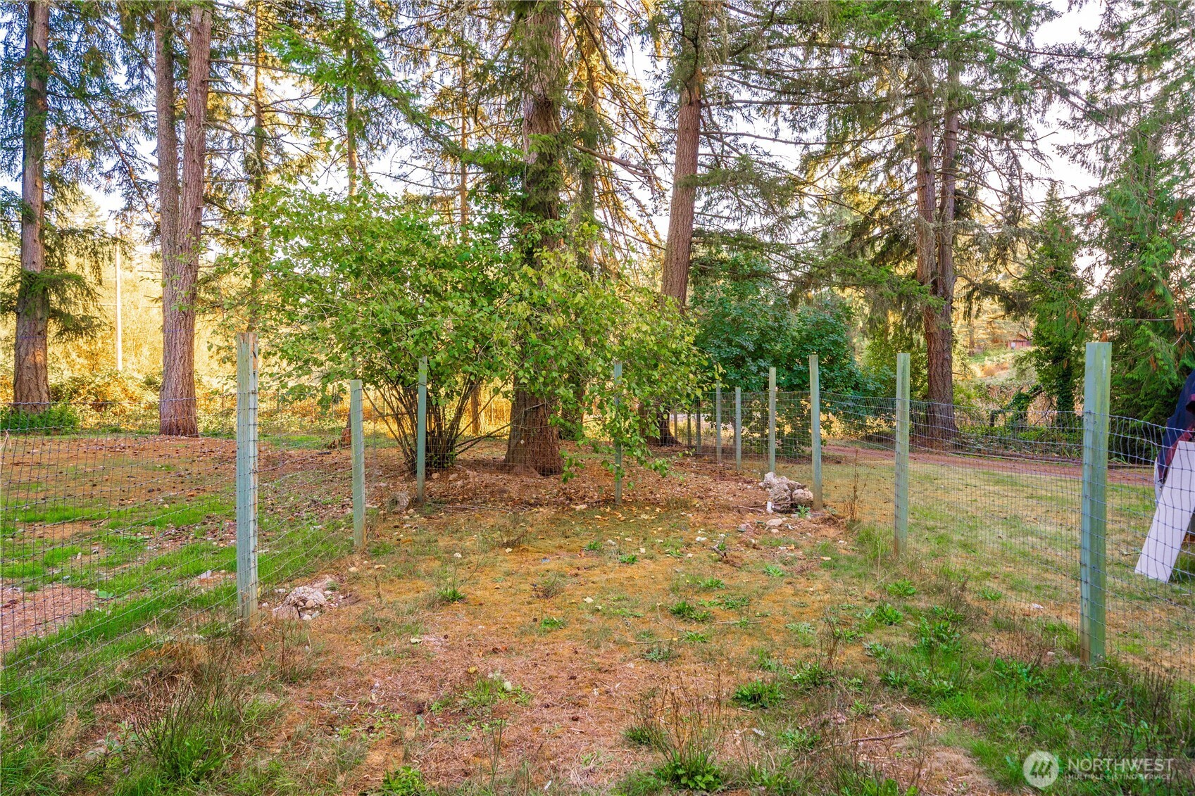 3917 240th Street E, Spanaway, WA 98387-7012